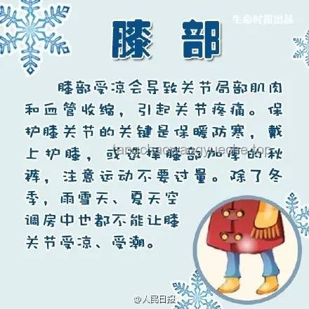爱你老妈，明天见：温馨共处实用指南