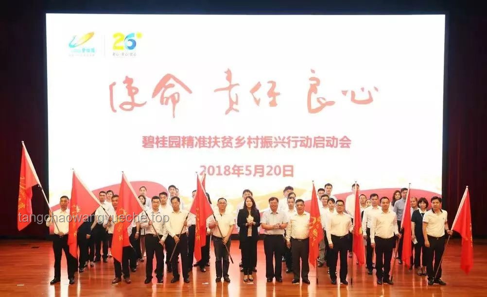 砺精兵 向未来：乡村振兴培训下的党建引领与机遇挑战