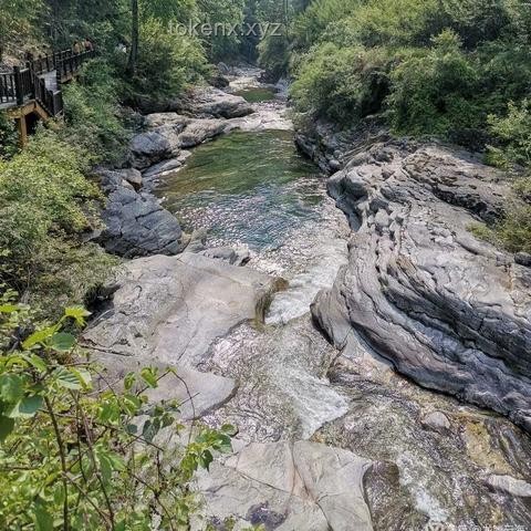 河南酷暑下山村女教师的教育坚守：社会支持体系的构建与行业趋势分析