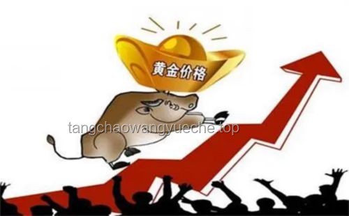 “高位买金，把我害惨了”：我的贵金属投资血泪史