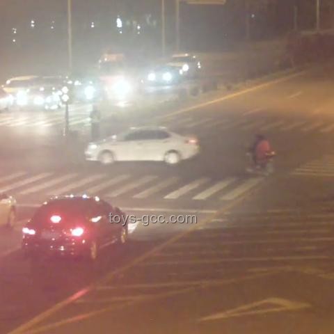三亚游客被不明物咬伤身亡事件全梳理