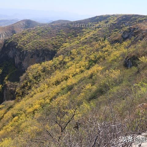 高考地理题新解：抽象背后的创新思维地图