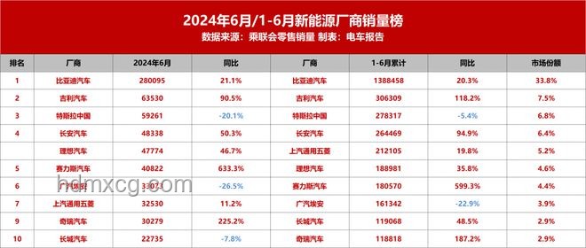 中国电车崛起：比亚迪吉利领跑，特斯拉份额下滑